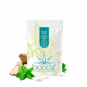 Pastilles CBD BIO Menthe et kudzu - 5 mg